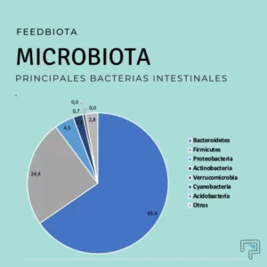 Porcentaje-bacterias